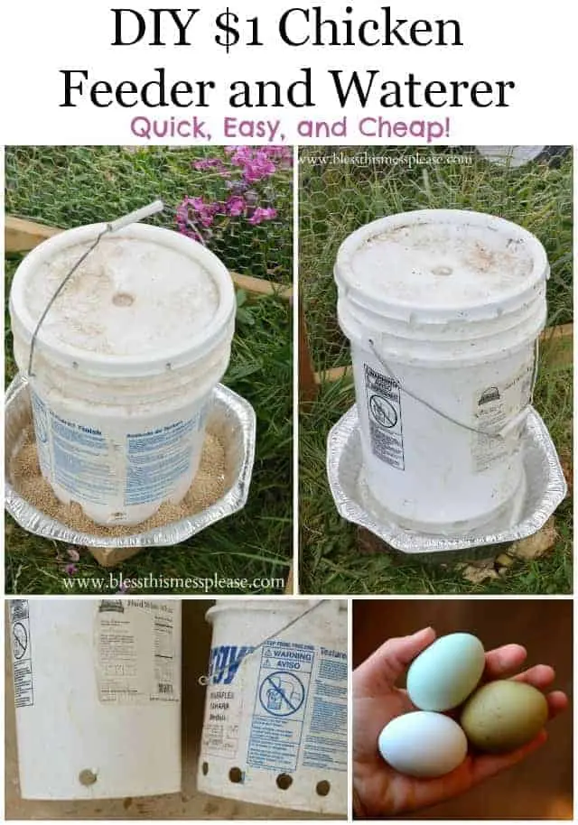 How to make a do-it-yourself chicken feeder 