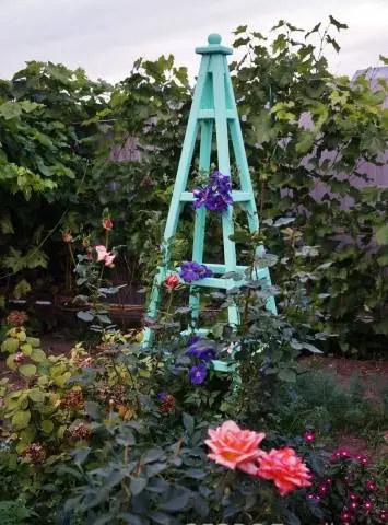 How to make a do-it-yourself clematis support