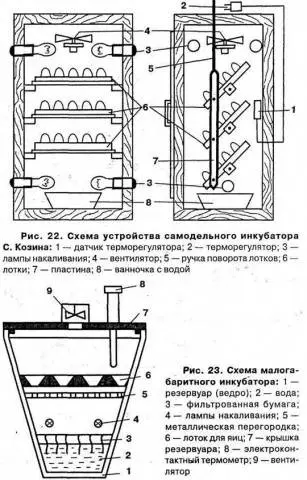 How to make a do-it-yourself quail incubator