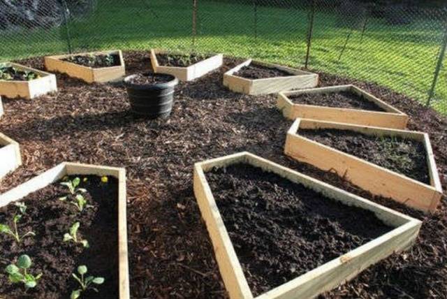 How to make a garden bed from improvised means