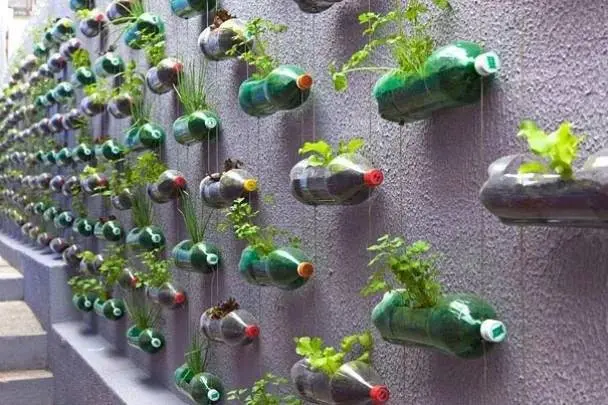 How to make a garden out of plastic bottles