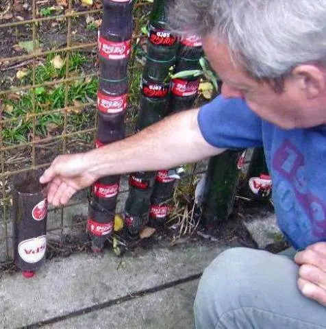 How to make a garden out of plastic bottles