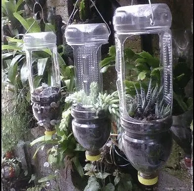 How to make a garden out of plastic bottles