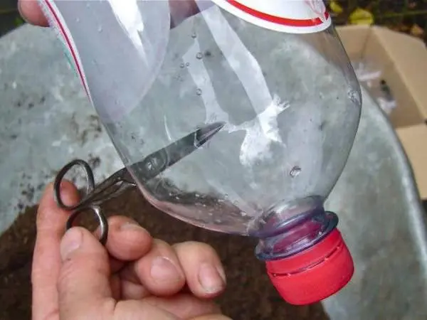 How to make a garden out of plastic bottles