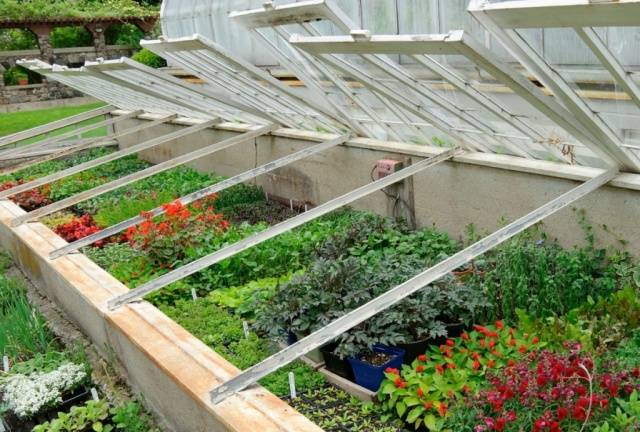 How to make a greenhouse