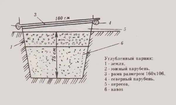 How to make a greenhouse