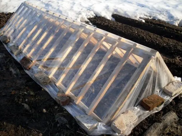 How to make a greenhouse