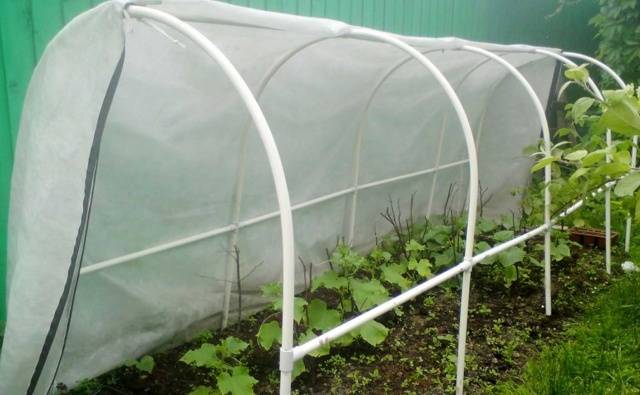 How to make a greenhouse for cucumbers with your own hands