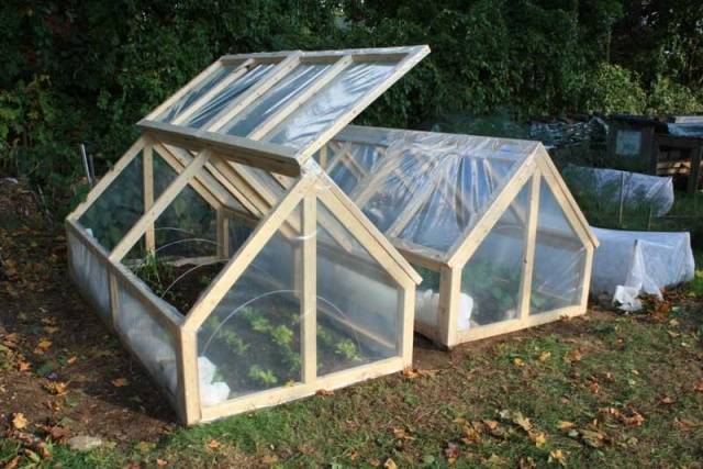 How to make a greenhouse for cucumbers with your own hands