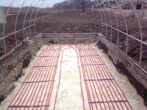 How to make a greenhouse for growing cucumbers all year round