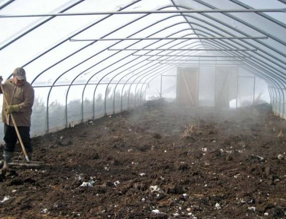 How to make a greenhouse for growing cucumbers all year round