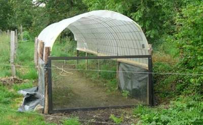 How to make a greenhouse from improvised materials