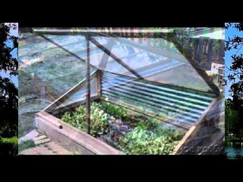 How to make a greenhouse from improvised materials