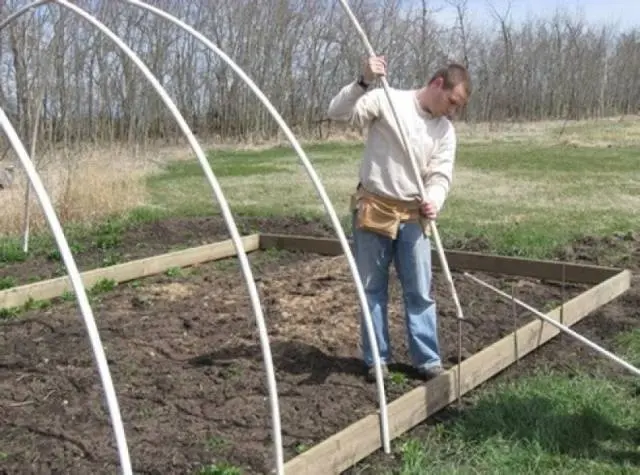 How to make a greenhouse from improvised materials