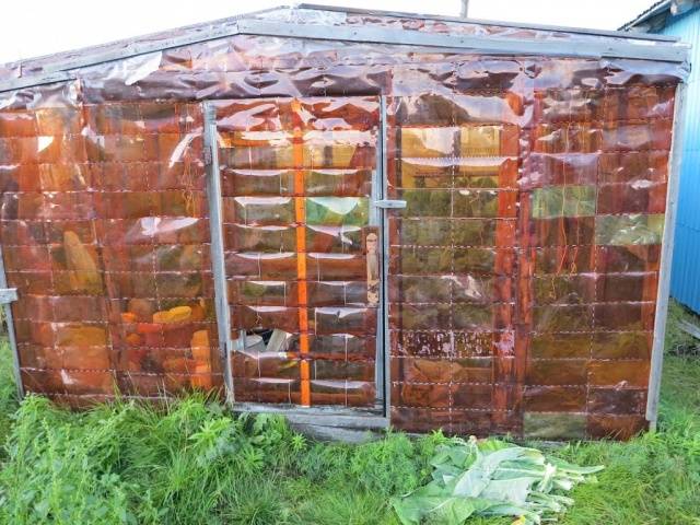 How to make a greenhouse from improvised materials