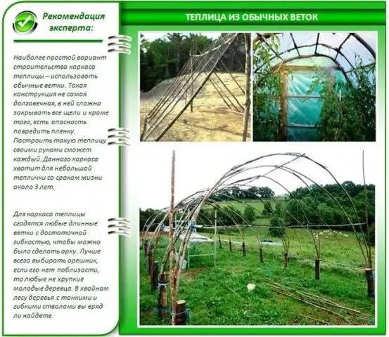 How to make a greenhouse from improvised materials