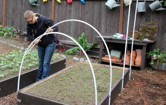 How to make a greenhouse out of plastic pipes