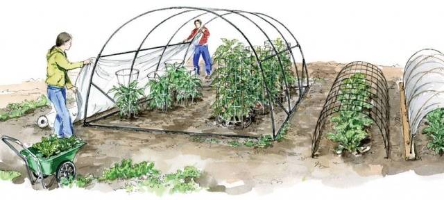 How to make a greenhouse out of plastic pipes