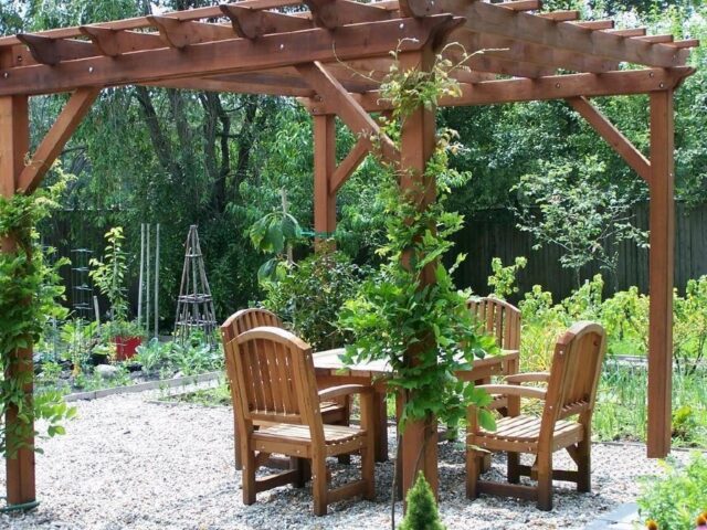 How to make a pergola for grapes with your own hands