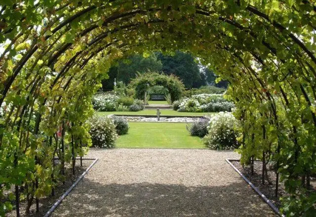 How to make a pergola for grapes with your own hands