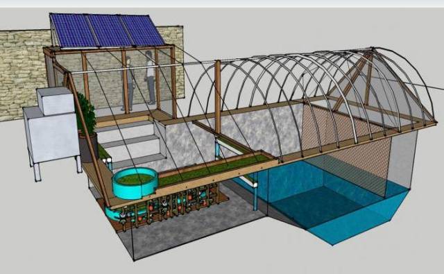 How to make a pool in a polycarbonate greenhouse