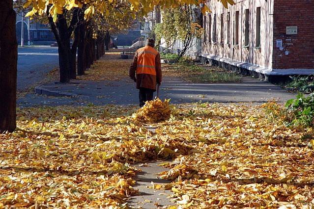 How to make a rake with your own hands