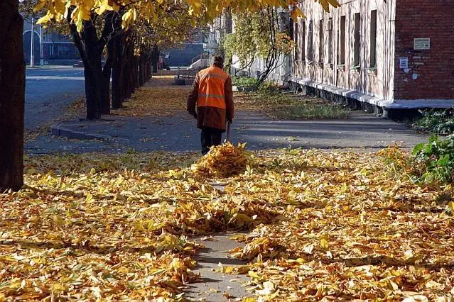 How to make a rake with your own hands