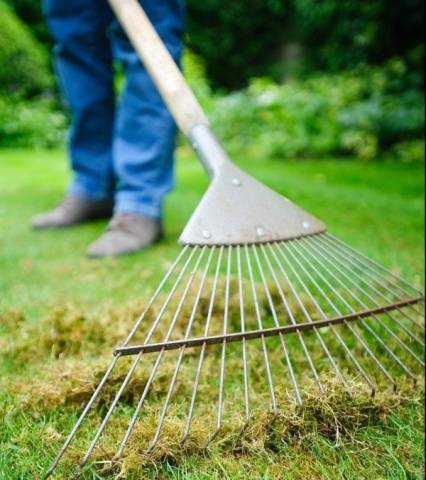 How to make a rake with your own hands