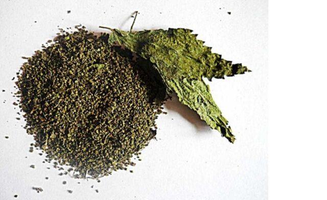 How to make a tincture of nettle on vodka, on alcohol