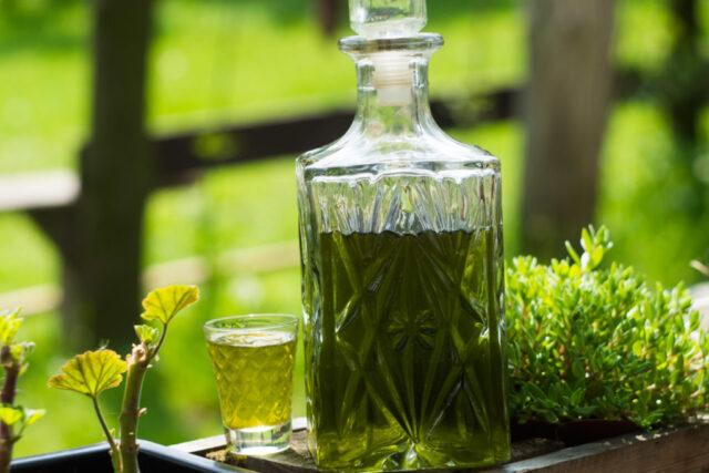 How to make a tincture of nettle on vodka, on alcohol