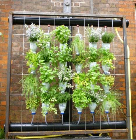 How to make a vertical garden