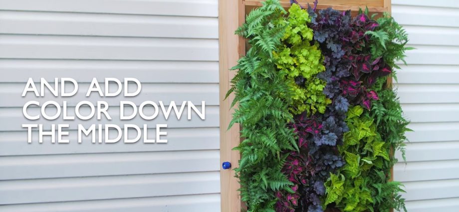 How to make a vertical garden