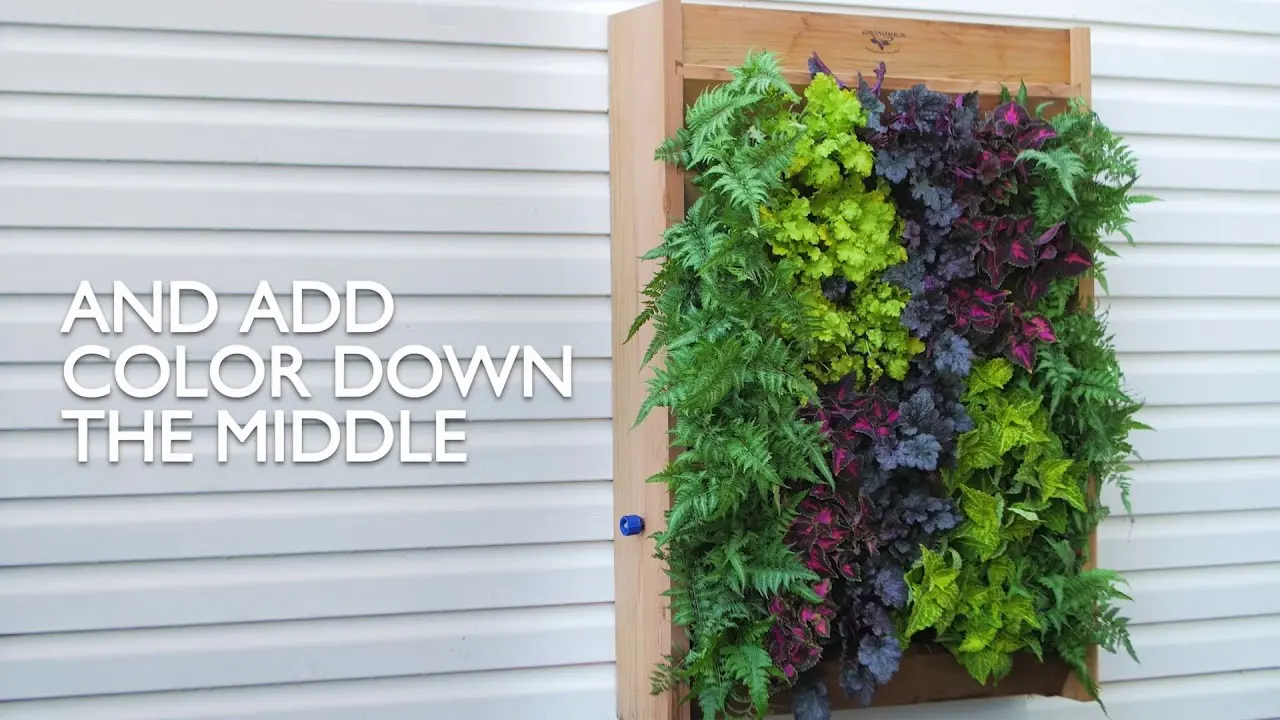 How to make a vertical garden