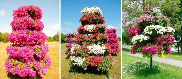 How to make a vertical petunia flower bed