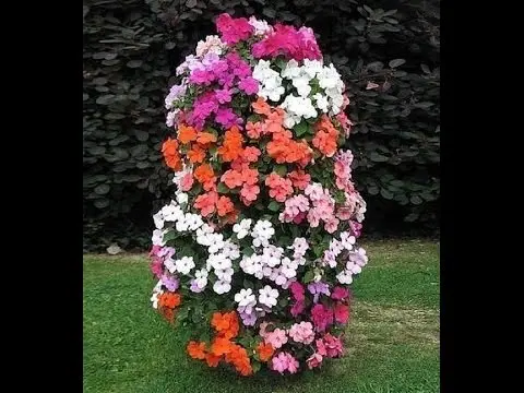 How to make a vertical petunia flower bed