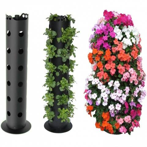 How to make a vertical petunia flower bed