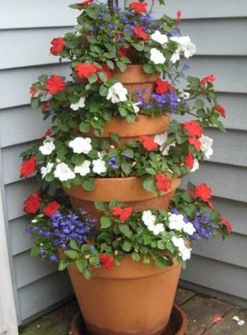 How to make a vertical petunia flower bed