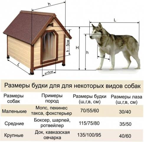 How to make a warm booth for a dog with your own hands