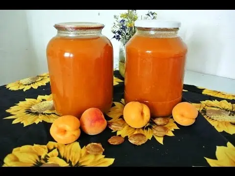 How to make apricot juice