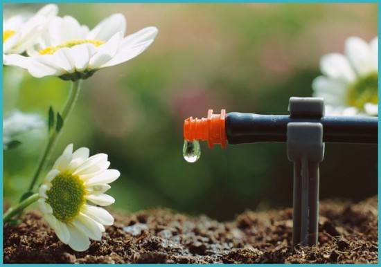 How to make automatic watering in a greenhouse