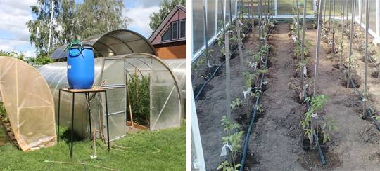 How to make automatic watering in a greenhouse