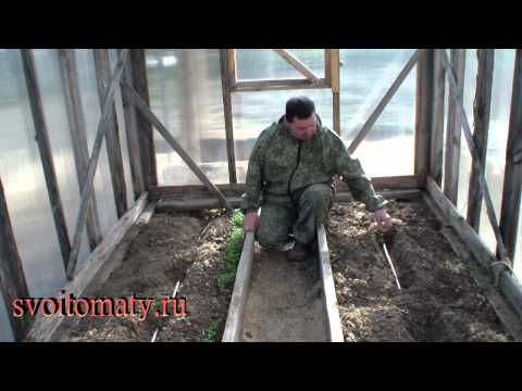 How to make automatic watering in a greenhouse