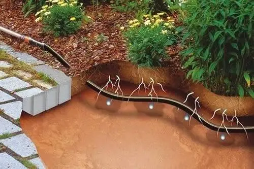 How to make automatic watering in a greenhouse