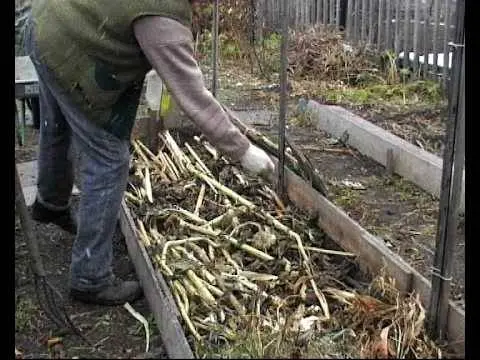 How to make beds in the country