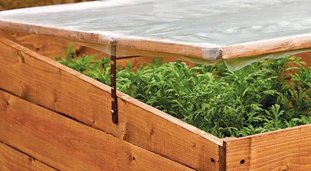 How to make boxes for seedlings with your own hands