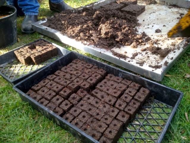 How to make boxes for seedlings with your own hands