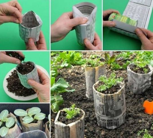 How to make boxes for seedlings with your own hands