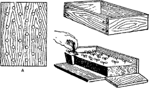 How to make boxes for seedlings with your own hands