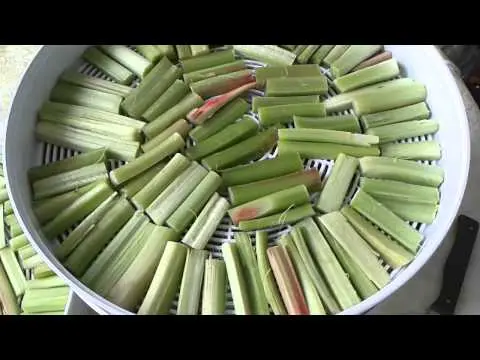 How to make candied rhubarb at home