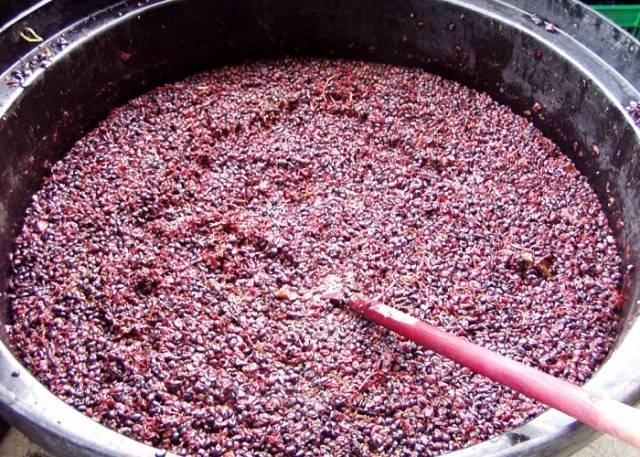 How to make chacha from grape pomace at home